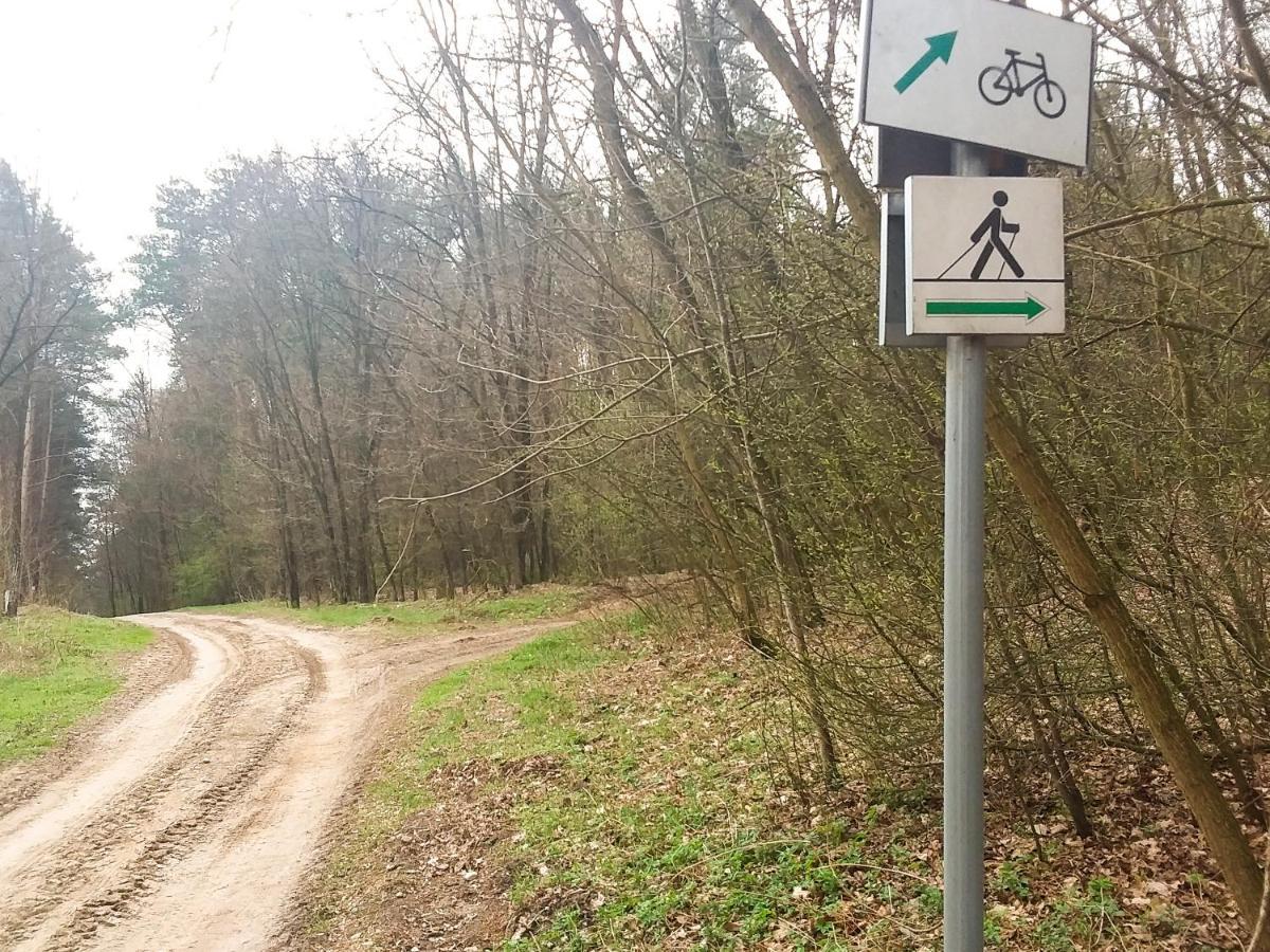 Dworek Akacja Uslugi Hotelarskie Janowiec Exteriér fotografie