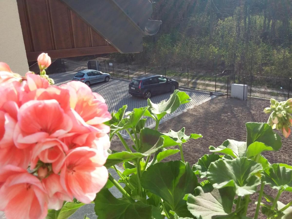 Dworek Akacja Uslugi Hotelarskie Janowiec Exteriér fotografie