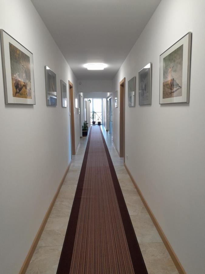 Dworek Akacja Uslugi Hotelarskie Janowiec Exteriér fotografie
